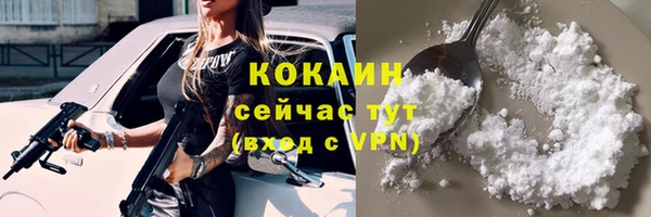 сатива Баксан