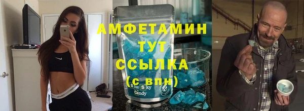 индика Балабаново
