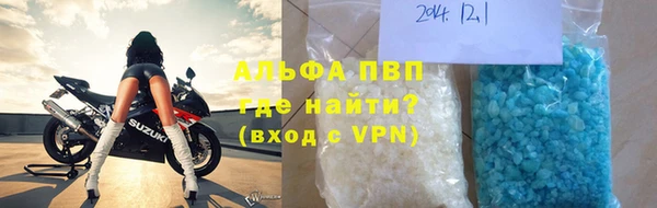 сатива Баксан