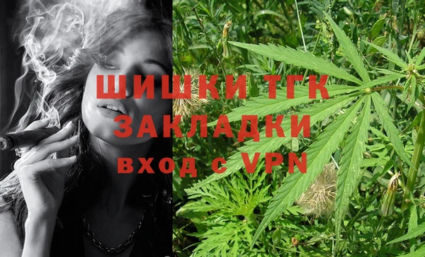 сатива Баксан