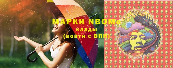 сатива Баксан