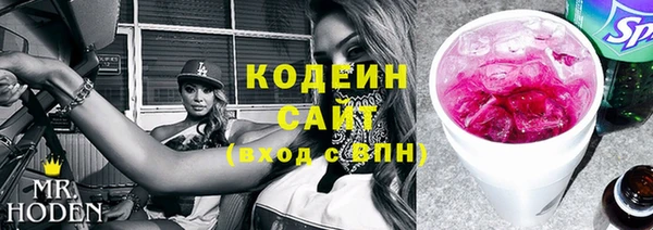 индика Балабаново