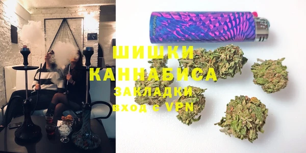 индика Балабаново