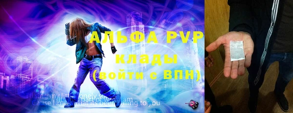 индика Балабаново