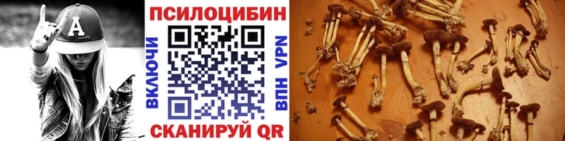 цены   Чернушка  Псилоцибиновые грибы прущие грибы 