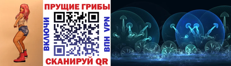 Галлюциногенные грибы GOLDEN TEACHER Чернушка